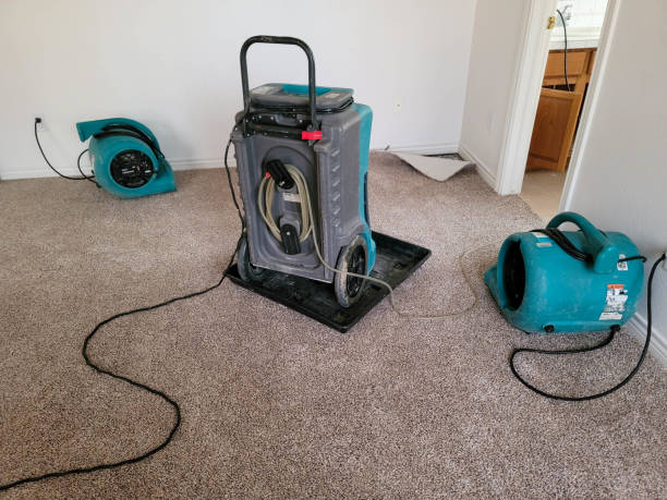 Best Water damage restoration cost  in Brea, CA