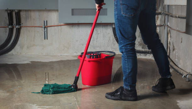 Best Ceiling water damage repair  in Brea, CA