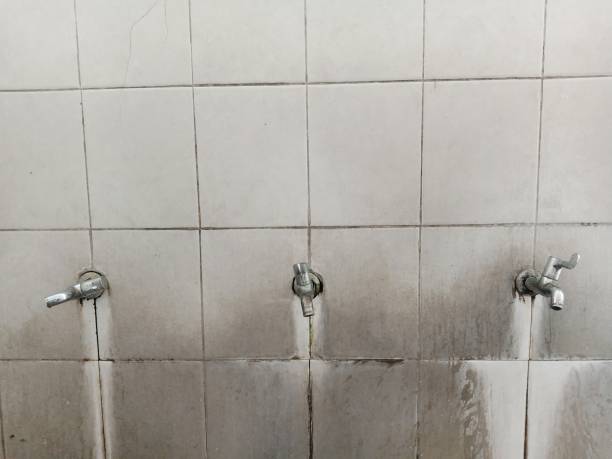 Best Carpet water damage restoration  in Brea, CA