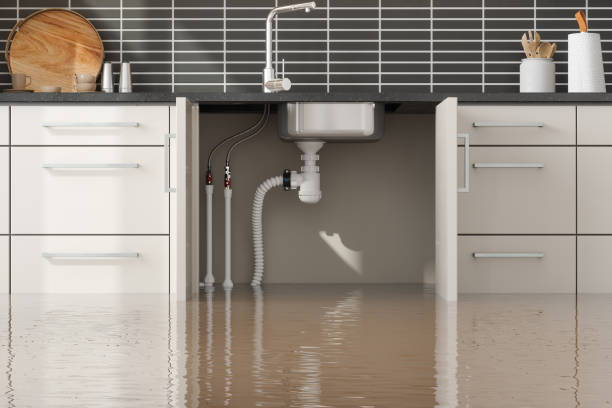 Best 24-hour water damage restoration  in Brea, CA
