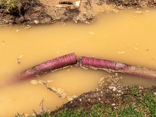 Best Flood damage cleanup  in Brea, CA