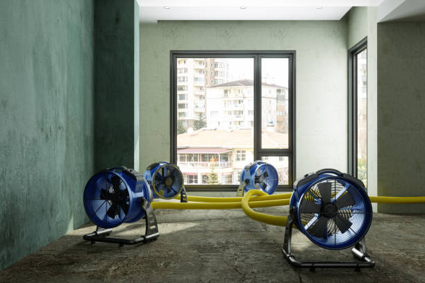 Best Fire Damage Restoration  in Brea, CA